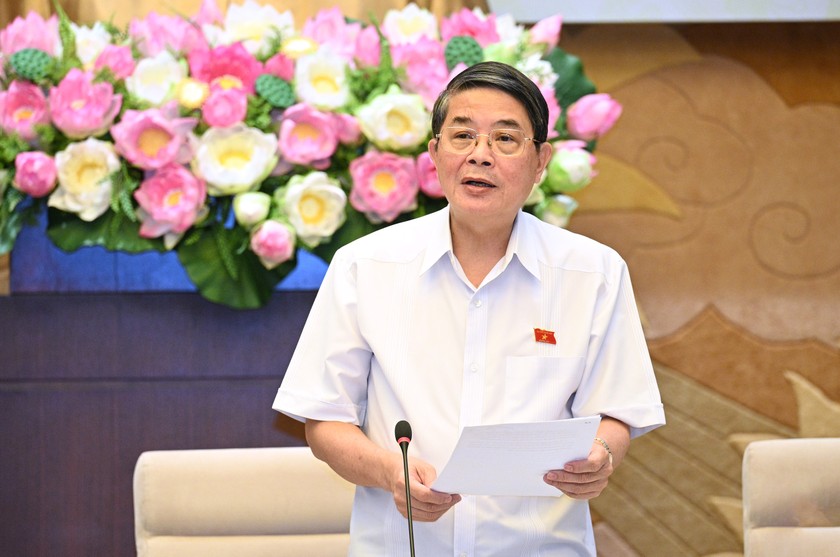 Phó Chủ tịch Quốc hội Nguyễn Đức Hải phát biểu tại phiên họp. (Ảnh: Quochoi.vn)