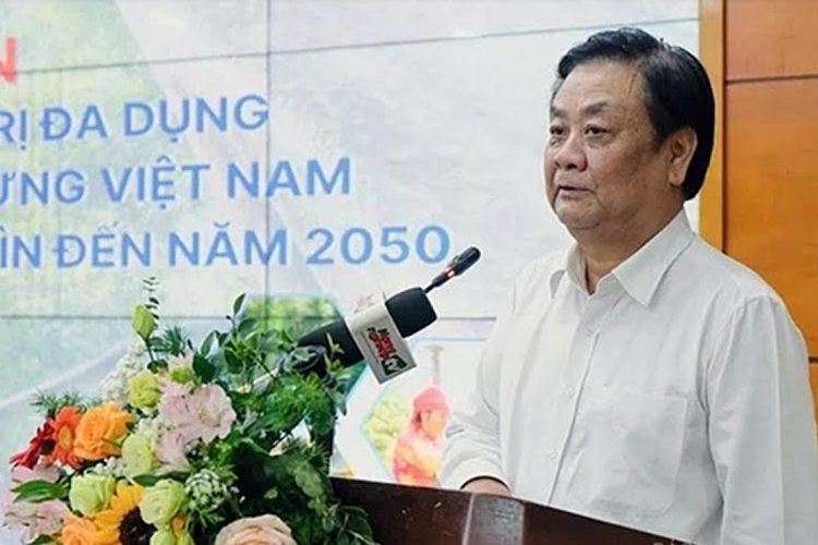 Theo Bộ trưởng Bộ NN&PTNT Lê Minh Hoan, giá trị của rừng phải cao hơn nhiều. (Ảnh: Nguyễn Hạnh)