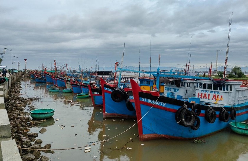 Tàu thuyền ngư dân đã vào neo đậu an toàn tại cảng cá Đông Hải (Ninh Thuận).