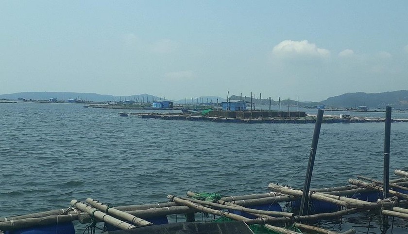 Một vùng nuôi trồng thủy sản trên biển ở Phú Yên.