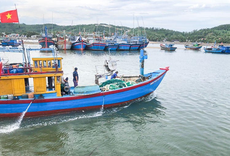 Tàu cá neo đậu tại Cảng cá Tam Quan (Bình Định). Ảnh: Ái Trinh