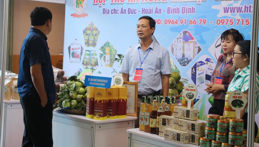 Nhiều mô hình phát triển sản xuất có hiệu quả ở nông thôn Bình Định được nhân rộng.