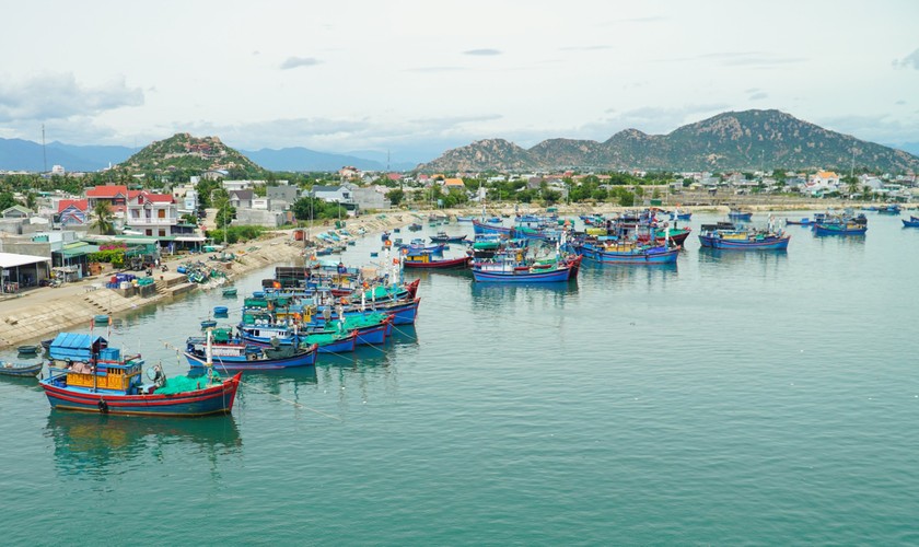 Tầm nhìn đến năm 2050, Ninh Thuận phát triển mạnh về kinh tế biển.