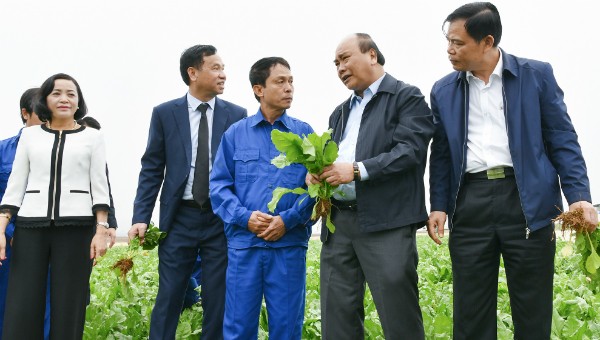 Thủ tướng thăm hỏi, động viên người lao động trên nông trường của Công ty Doveco.