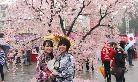 10.000 cành hoa anh đào tỏa sắc trong Lễ hội giao lưu văn hóa Nhật Bản