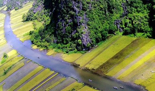  Ngất ngây với những địa danh ngắm lúa chín đẹp nhất Việt Nam
