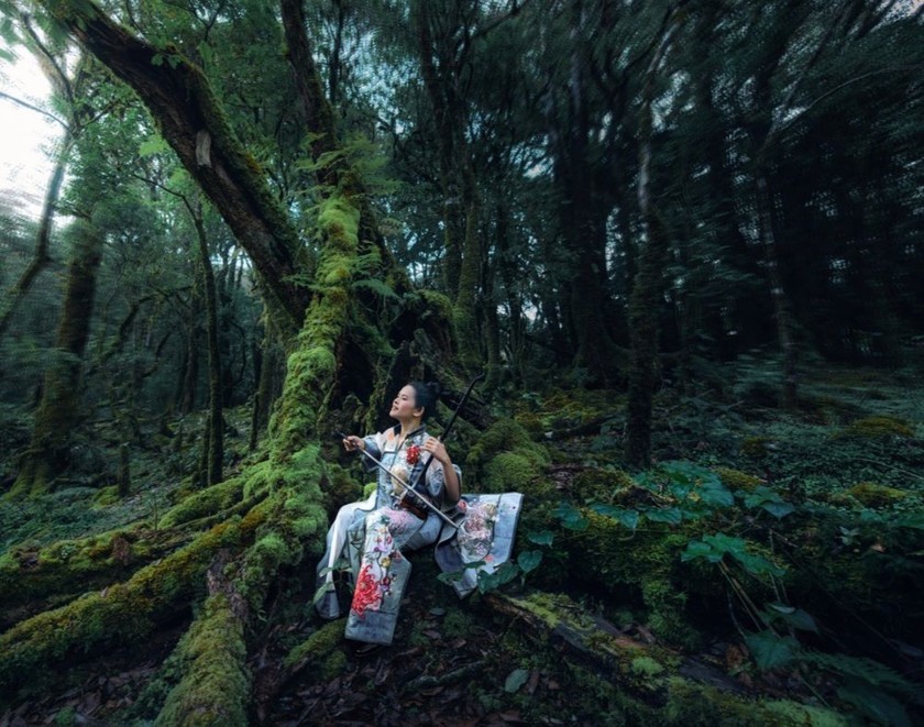 “Lắng” cùng đàn nhị réo rắt trong khu rừng già Tây Bắc (ảnh NVCC).
