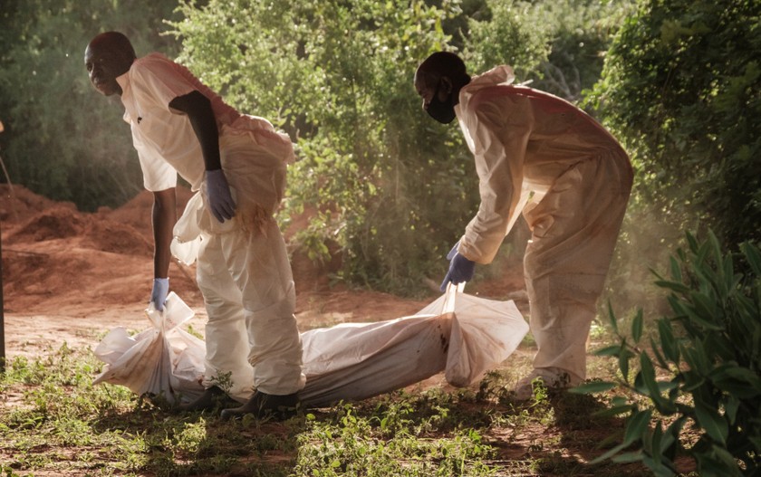 Nỗ lực tìm kiếm các thi thể vẫn đang được triển khai trong rừng Shakahola. Ảnh: AFP.