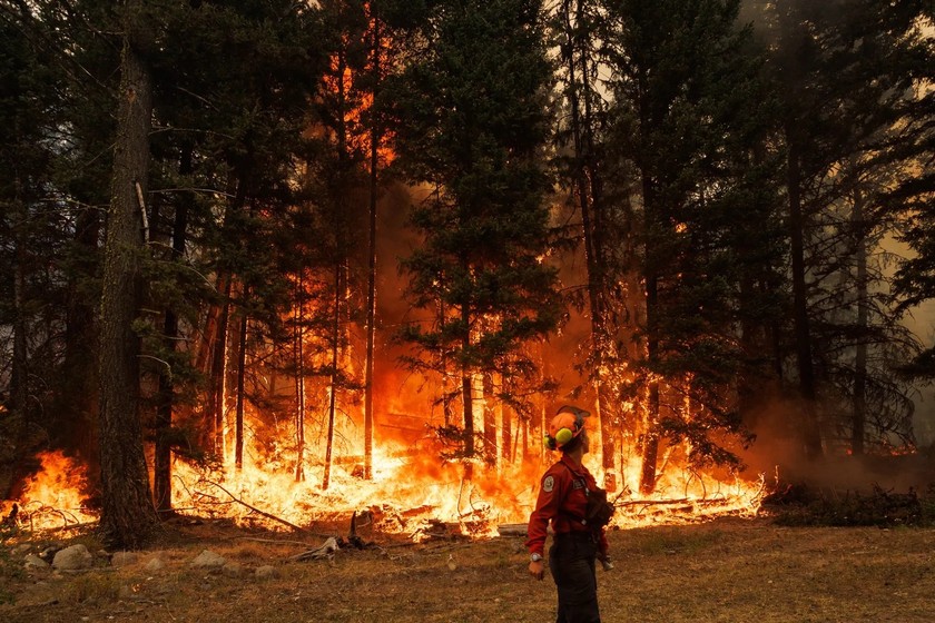Năm này, Canada đã trải qua số vụ cháy rừng kỷ lục. Ảnh: Getty.