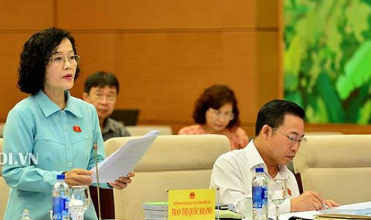 ĐBQH Trần Thị Quốc Khánh trình bày tờ trình Dự án Luật Hành chính Công