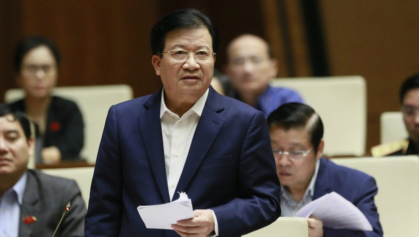 Phó Thủ tướng Trịnh Đình Dũng phát biểu