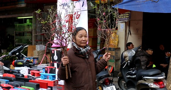 Chợ hoa Hàng Lược - Tết truyền thống giữa lòng Thủ đô