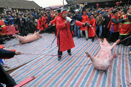 Vẫn tiến hành lễ hội chém lợn ở Bắc Ninh