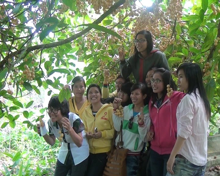 Du khách trải nghiệm hái dâu Cái Tàu tại nhà vườn U Minh