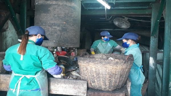 Công nhân Nhà máy xử lý rác thải TP Cà Mau