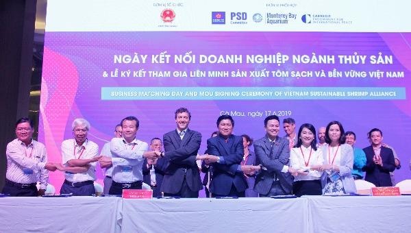 Cà Mau tham gia Liên minh sản xuất tôm sạch và bền vững Việt Nam 