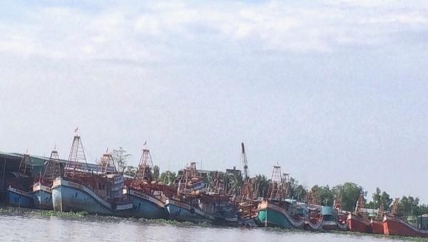 Nhiều tàu đánh bắt cá công suất lớn đã neo đậu trên sông Cái Bé từ hơn 2 tháng nay