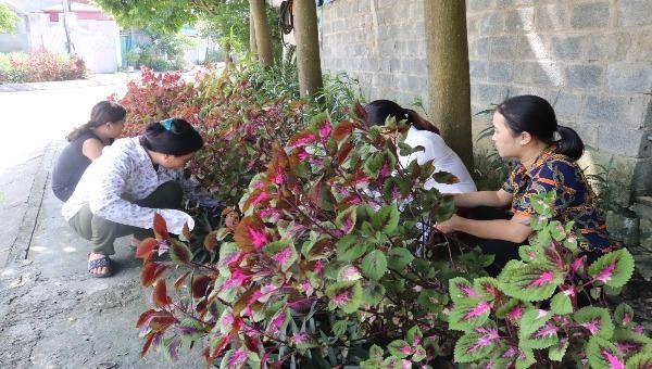 Chị em hội viên phụ nữ xã Cam Đường chăm sóc con đường hoa trong thôn 