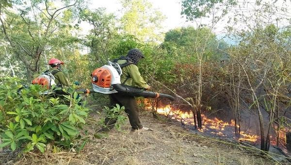 Lực lượng Kiểm lâm Chi cục Kiểm lâm vùng IV dùng các công cụ, máy thổi gió hơi nước để chữa cháy rừng