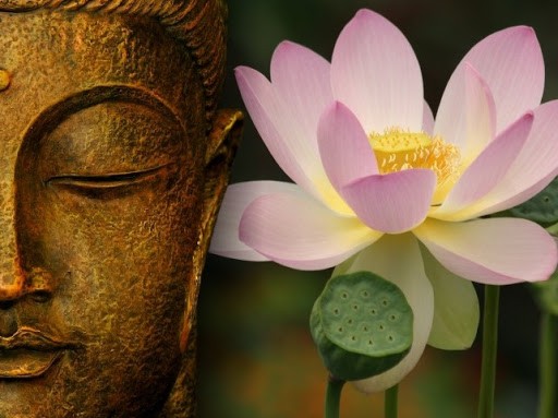 Những học thuyết kinh điển trong giáo lý nhà Phật- Kỳ 1: Học thuyết vô thường 