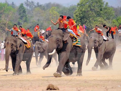Lễ hội đua voi ở Tây Nguyên 