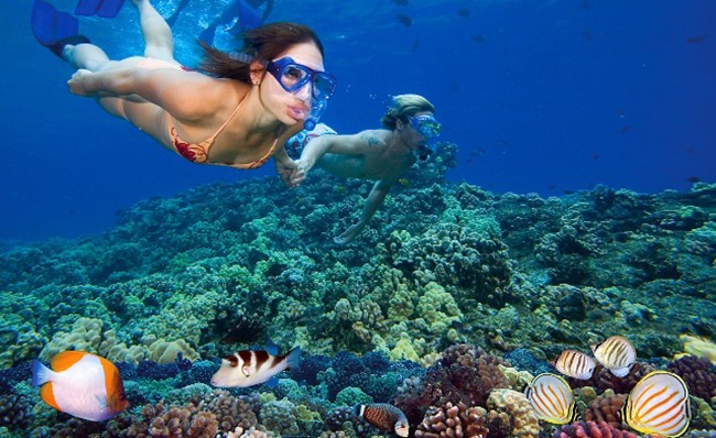 Nỗ lực bảo tồn san hô tại Cát Bà để phát triển du lịch biển bền vững