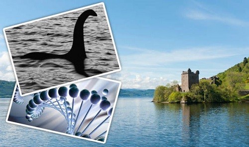 Bí ẩn ngàn năm về quái vật hồ Loch Ness - Kỳ 2: Bất ngờ thủy quái khổng lồ xuất hiện trên cạn 