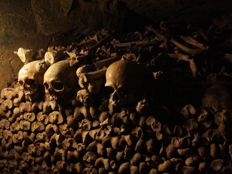 Một góc hầm mộ Paris khổng lồ. 