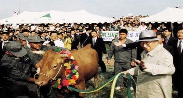 Ông Chung Ju Yung đã dắt một con bò qua biên giới Triều Tiên - Hàn Quốc để _trả lại_ món nợ thuở hàn vi. 