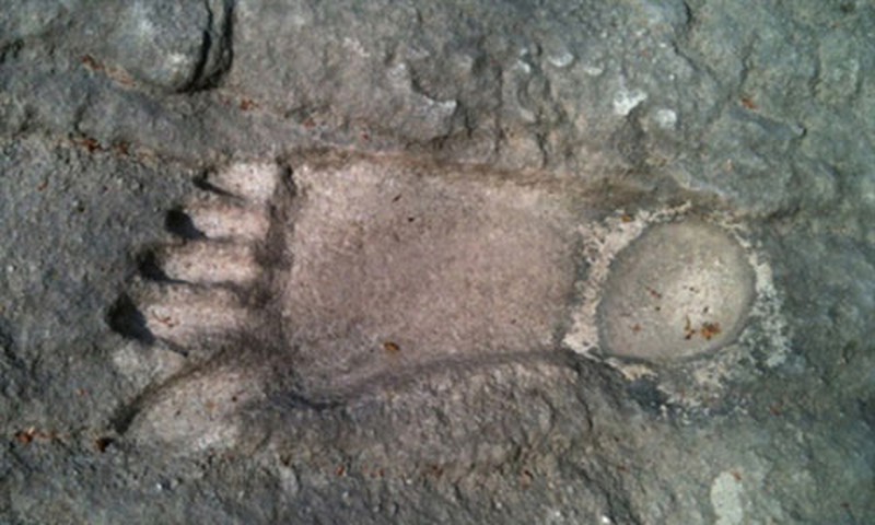 Có nhiều dấu chân khổng lồ như thế này trên đá ở núi Cậu gây tò mò suốt hàng chục năm qua. 