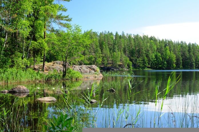 Đất ngập nước là một trong những cảnh quan quan trọng ở Phần Lan. 