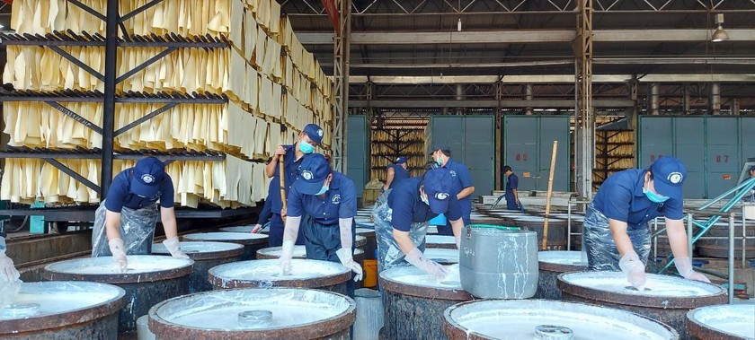 Một phân xưởng sơ chế mủ cao su tại Bình Phước. 