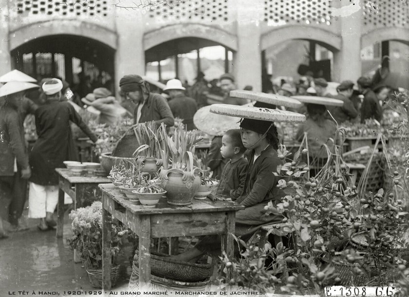 Thủy tiên được bày bán tại chợ hoa xuân (ảnh tư liệu). 