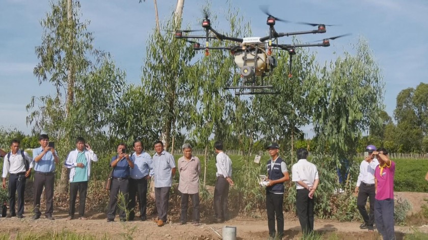 Người dân dùng thiết bị bay không người lái để phun thuốc bảo vệ thực vật phòng trị sâu bệnh hại lúa.