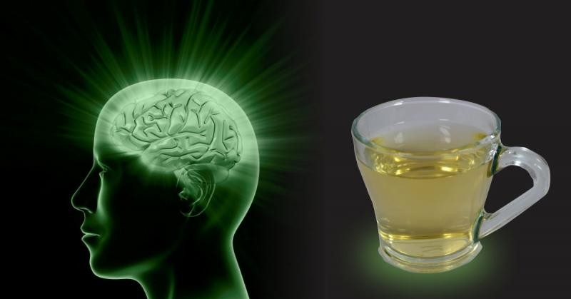 Theo nghiên cứu khoa học, trà có nhiều tác dụng tốt tới trí não.