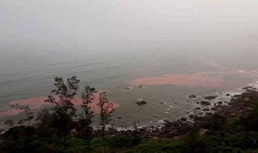 Dải nước màu đỏ xuất hiện gần bờ biển ở biển Lăng Cô sáng 22/2 (Ảnh N.D)