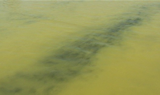 Vùng nước màu vàng lạ xuất hiện ở biển Chân Mây