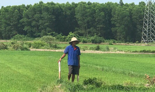 Ông Nguyễn Đăng Cường, một nông dân thôn Bồn Trì bên chiếc cọc  tre đánh dấu vị trí xây dựng 