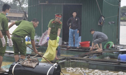 Các chiến sỹ công an giúp dân thu dọn cá chết