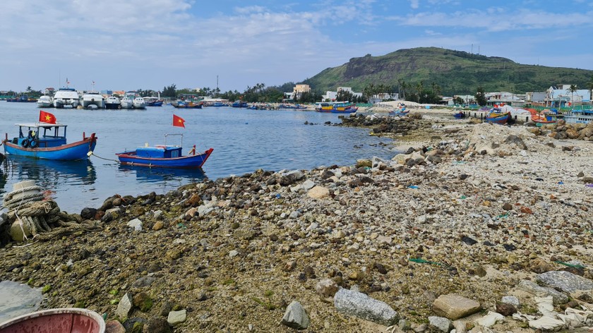 Quảng Ngãi tiếp tục nhắc nhở về việc xử lý đối với số bè hút cát đang nằm tại khu vực vũng neo đậu tàu thuyền Lý Sơn.