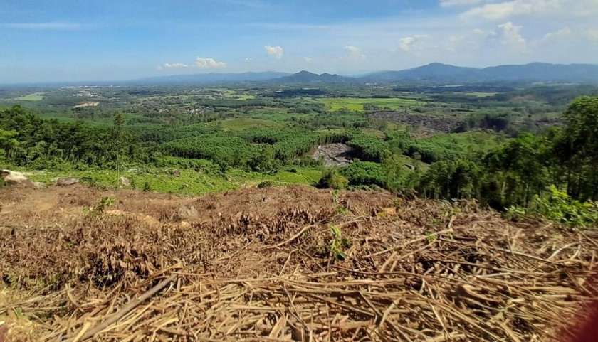 Sở Nông nghiệp và phát triển nông thôn Quảng Nam đã có văn bản giải trình việc 2.850 ha rừng “biến mất”