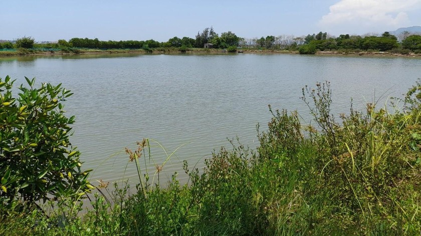 Một hồ nuôi thủy sản gần các hồ chứa nước tại tỉnh Quảng Nam.