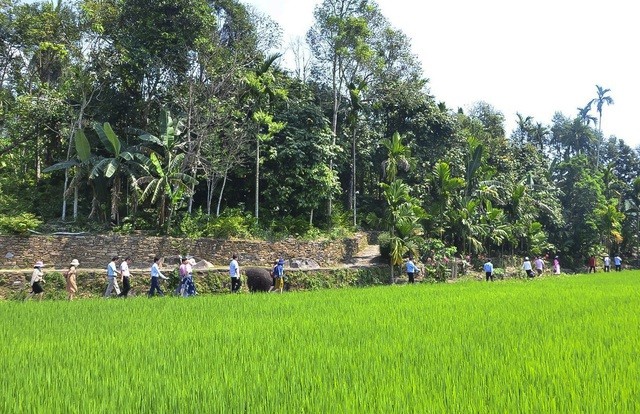 Làng cổ Lộc Yên là điểm du lịch nông thôn đặc sắc của tỉnh Quảng Nam theo mô hình kết hợp du lịch - văn hóa - nông nghiệp.