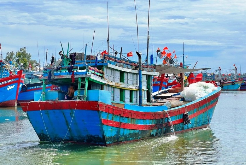 Chủ hai tàu cá ở Quảng Ngãi bị xử phạt hơn 850 triệu đồng. (Ảnh minh họa)