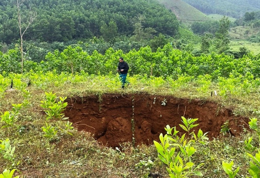 Vị trí "hố tử thần" xuất hiện trên đất trồng rừng keo tại xã Tiên Hiệp.