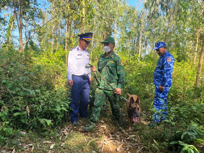 Lực lượng chức năng đưa chó nghiệp vụ tìm kiếm tại nơi phát hiện các gói bột màu trắng nghi ma túy ở Quảng Ngãi.