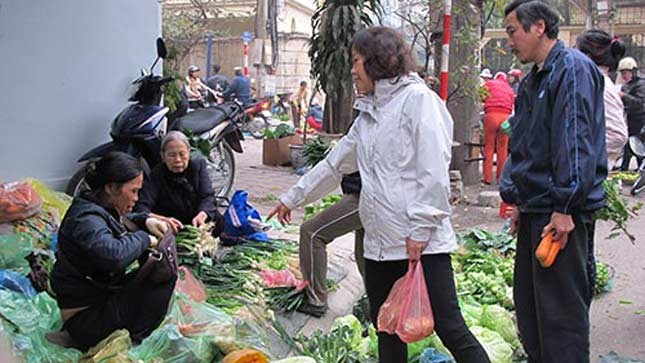 Giá rau xanh tại Hà Nội rẻ bất ngờ sau Tết