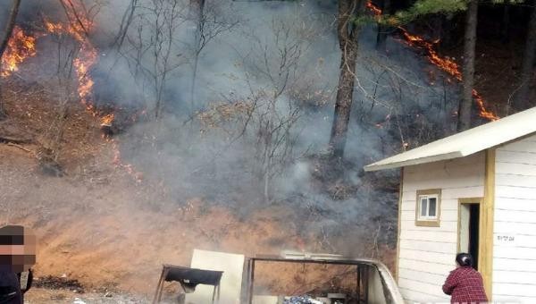 Sau dịch bệnh, cháy lớn tại Gangwon (Hàn Quốc) khiến 1.000m2 rừng bị thiêu cháy