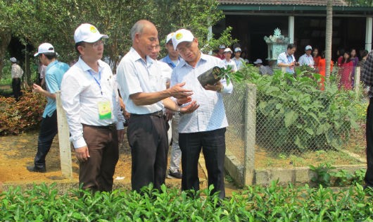 Các đại biểu toàn quốc được nhân dân Hà Tĩnh chia sẽ kinh nghiệm làm vườn mẫu