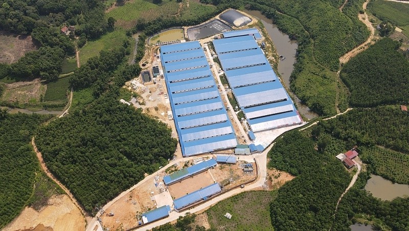 Dự án trại chăn nuôi lợn lái của Công ty TNHH MTV Dũng Giang tại bản Ven, xã Xuân Lương (Yên Thế, Bắc Giang) là một trong những dự án điển hình vi phạm pháp luật về xây dựng.